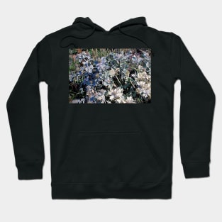 Green Coastal Plants Hoodie